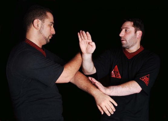 Wing Tsun & Escrima - Selbstverteidigung in Braunschweig - AVCI